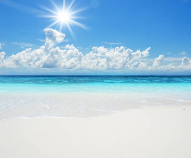 istock Idyllic tropical beach landscape 694750602