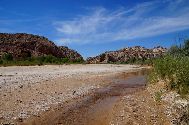 rising global warming: wide river dried out to a tiny stream riverbed - leito de rio imagens e fotografias de stock