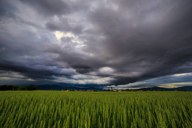 istock Evening storm over the medieval village 694750962
