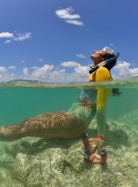 Descubrimientos de la laguna de Bacalar - foto de stock