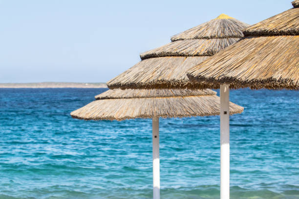 istock Straw umbrellas on the beach 694770850