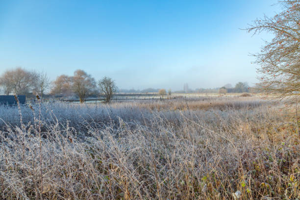 istock Winter Day at Krefeld/ Germany 694771324