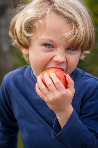 istock 5 year old child eating an apple 694772140