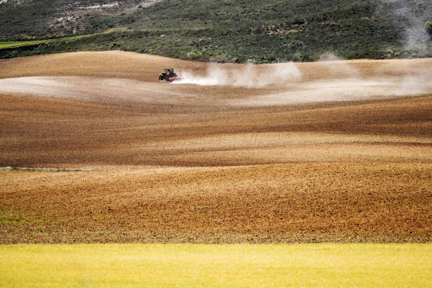 Cultivated Land in Spain