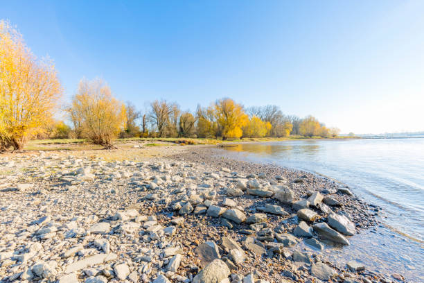 istock Big stones at River Rhine Waterside/ Germany 694777384