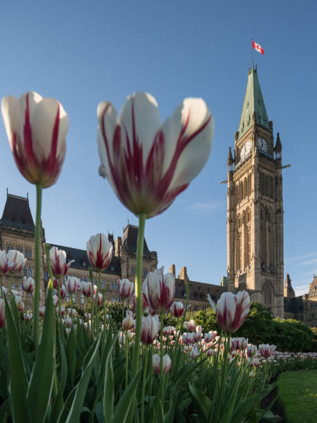 istock Parliament Hill of Ottawa, Canada 694795208