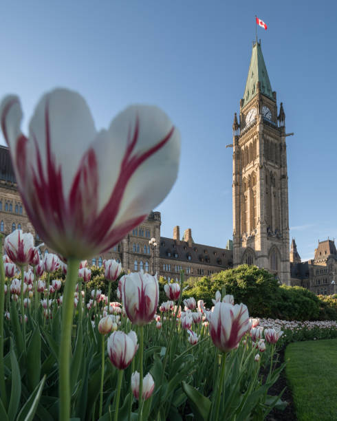istock Parliament Hill of Ottawa, Canada 694795212
