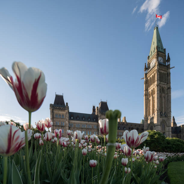 istock Parliament Hill of Ottawa, Canada 694795242