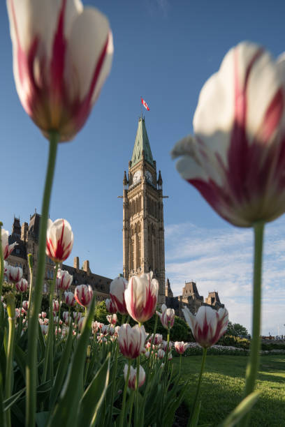 istock Parliament Hill of Ottawa, Canada 694795260
