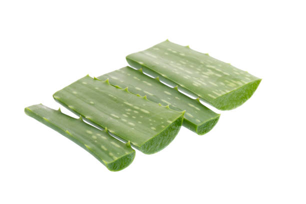 istock Slice Aloe Vera isolated on white background 694795728