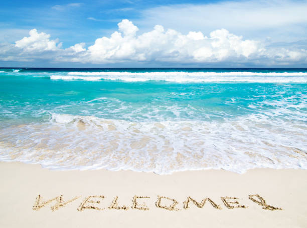 istock beach and tropical sea 694798686