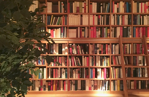 Bookshelf with many different books and plant in front