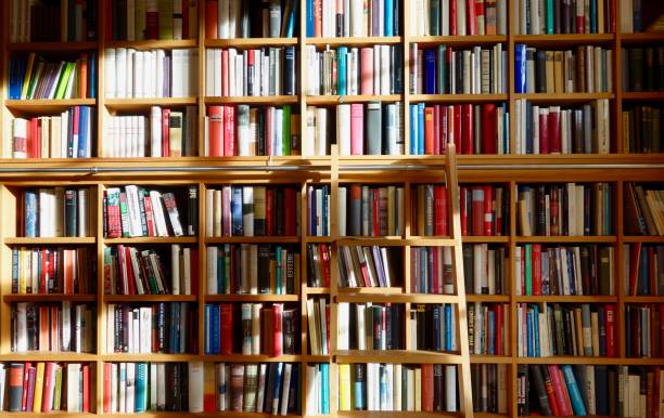 Bookshelf with many different books and a ladder Interior view of bookshelf büro stock pictures, royalty-free photos & images