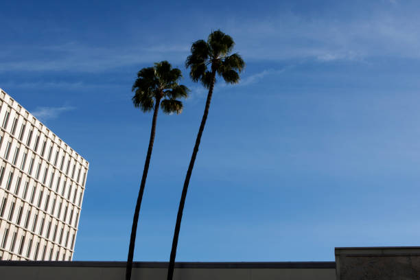 istock Los Angeles Cityscape 694802410