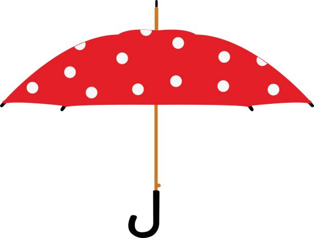 illustrazioni stock, clip art, cartoni animati e icone di tendenza di ombrello silhouette - pino domestico
