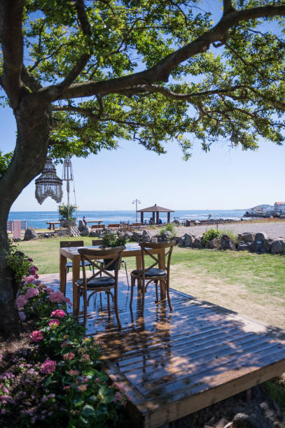istock Under the shade of the dining table and chairs 694805990
