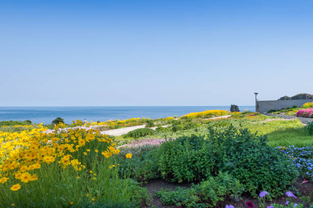 istock South Korea's Jeju Island beach scenery 694806038