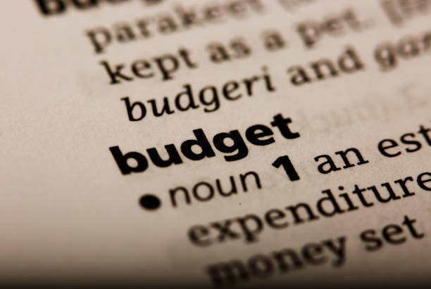 istock Budget word printed in the English dictionary 694819550