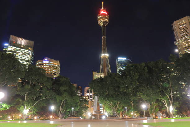 istock Hyde park night cityscape Sydney Australia 694820418