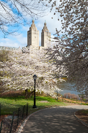 View of New York Central Park in springtime, USA