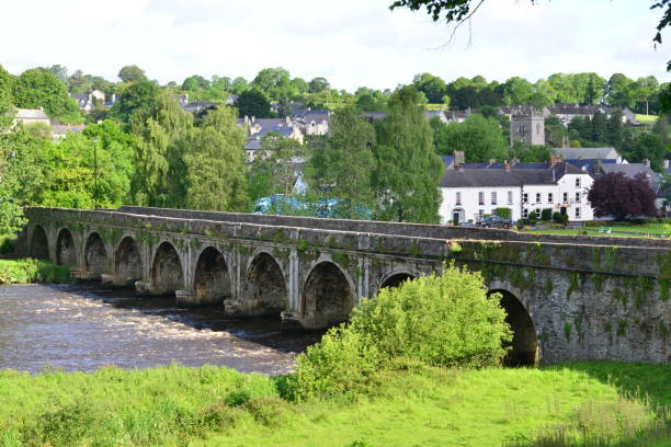 istock Bridge at Inistioge in Ireland 694836576