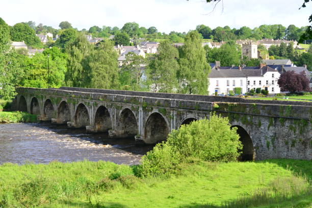 istock Bridge at Inistioge in Ireland 694838790