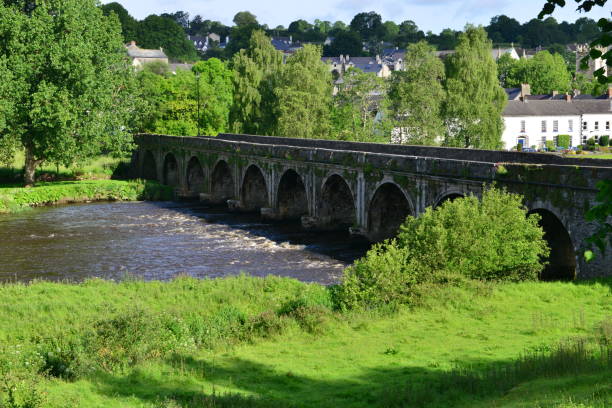 istock Bridge at Inistioge in Ireland 694839050