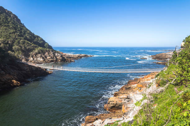 istock Hanging bridge over Storms River mouth, Tsitsikamma National Park 694839366
