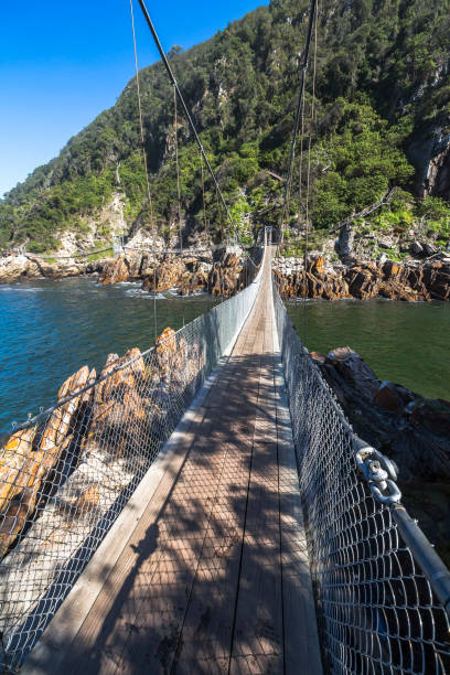 istock Hanging bridge over Storms River mouth, Tsitsikamma National Park 694839560