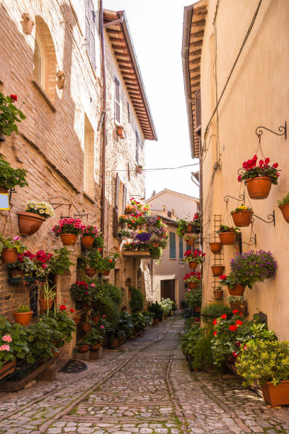 istock Flowers inSpello in Italy 694839608
