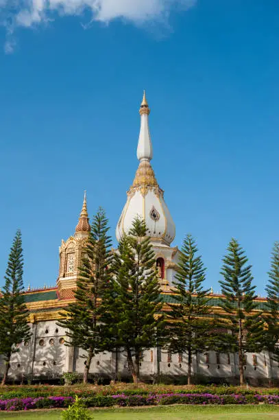 Photo of Phra Maha Chedi Chai Mongkol