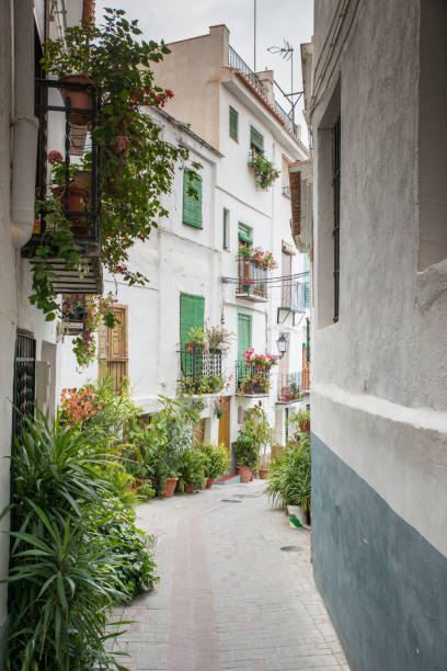 istock typical spanish white houses with flowers 694848840
