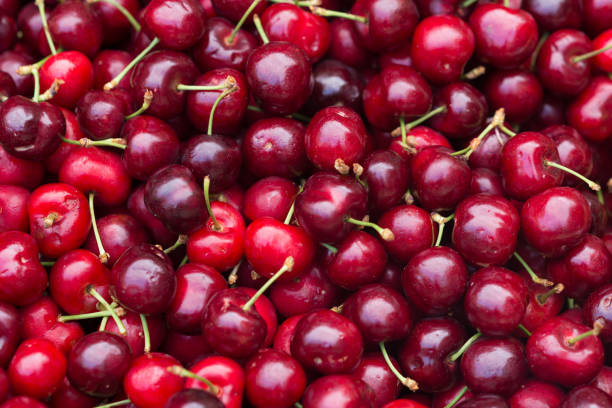istock large group of fresh cherry berrys 694859060
