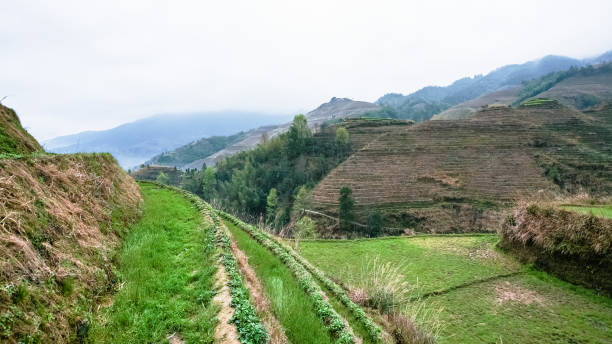 istock terraced fields of Tiantouzhai village 694859236