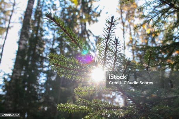 Nuuksio Stock Photo - Download Image Now - Espoo, Finland, Horizontal