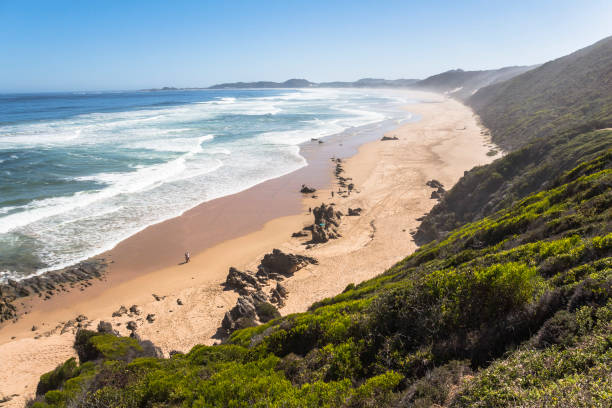 vista sobre a costa no garden route, south áfrica - south africa coastline sea wave - fotografias e filmes do acervo