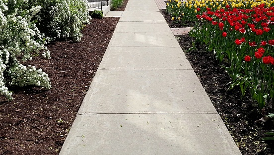Straight concrete sidewalk surrounded by 2 paths of flower beddings