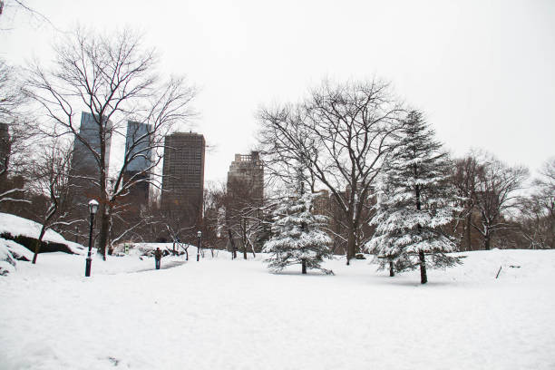 istock Buildings behind trees and snow at Central Park 694885680