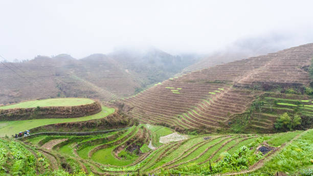 istock above view of terraced rice fields on hills 694890954