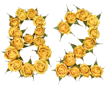 Arabic numeral 82, eighty two, from yellow flowers of rose, isolated on white background