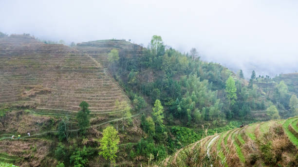 istock view of terraced fields in rain from Tiantouzhai 694893766