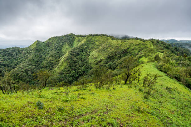 istock trails on the mountain peak and mountain ridge with raining fog 694894002