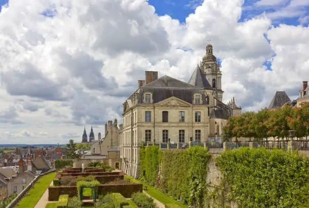 View of Blois City Hall and Blois Cathedral, France across rose garden