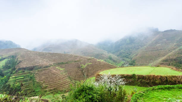 istock above view of terraced grounds on hills 694894222