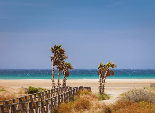 istock beach of Tarifa, Andalusia, Spain, 694894324