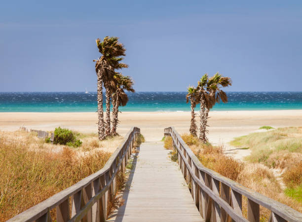 istock beach of Tarifa, Andalusia, Spain, 694894408