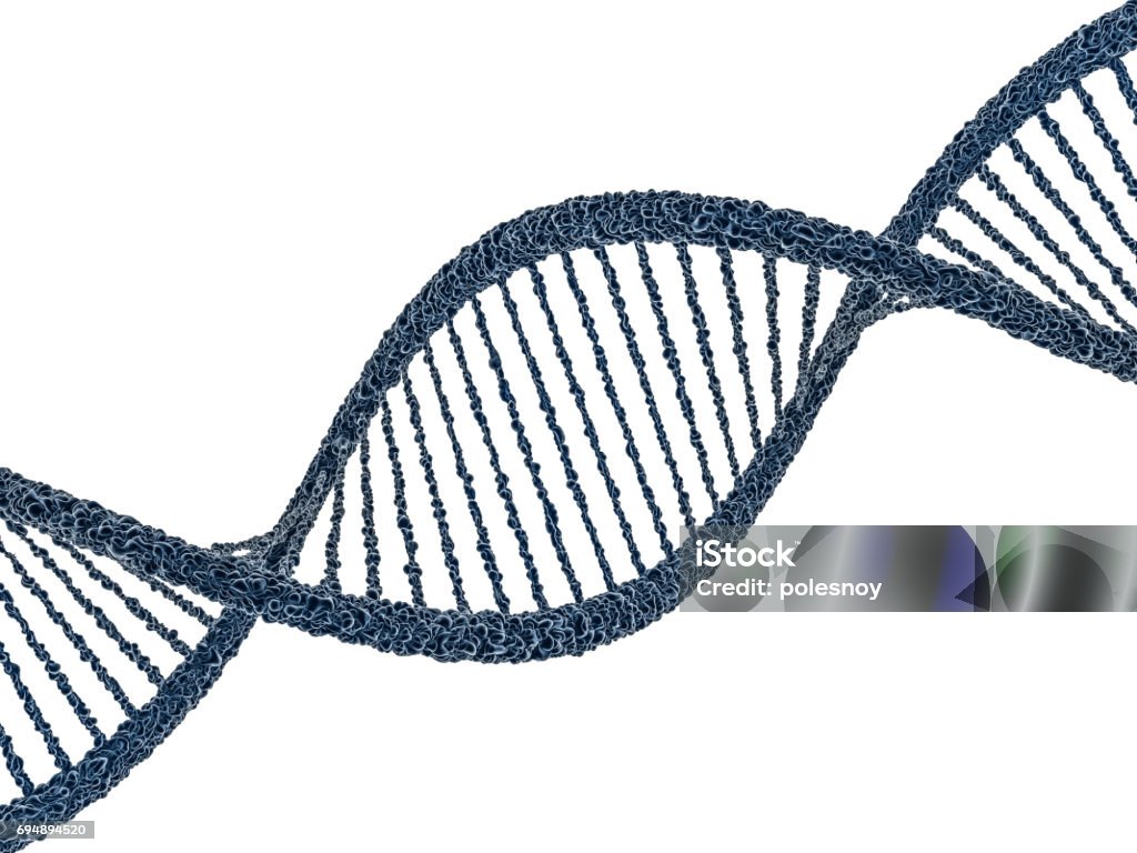 Dna 모델의 디지털 그림입니다 3 차원 렌더링 DNA에 대한 스톡 사진 및 기타 이미지 - DNA, 건강관리와 의술, 과학 ...