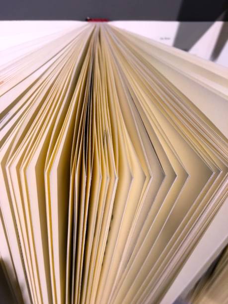 istock Close up on slightly Opened pages of book 694894620