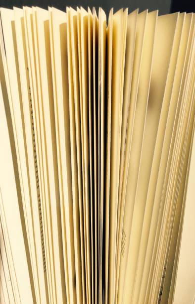 istock Close up on slightly Opened pages of book 694896722