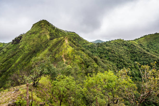 istock trails on the mountain peak and mountain ridge with raining fog 694897300